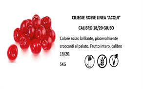 7f14c6e5-6be3-4997-8ab0-7625f4d27470