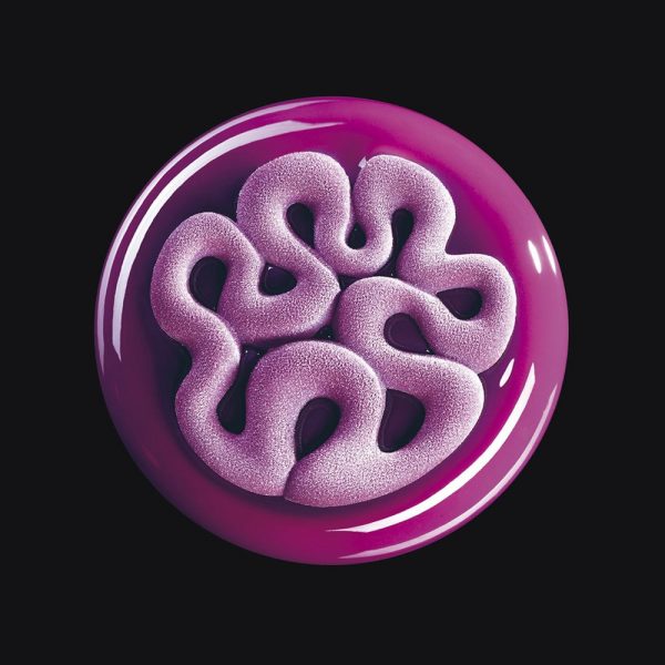Top Mini Jelly
