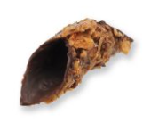 Cannolo croccante nocciola glassato extra dark 72%